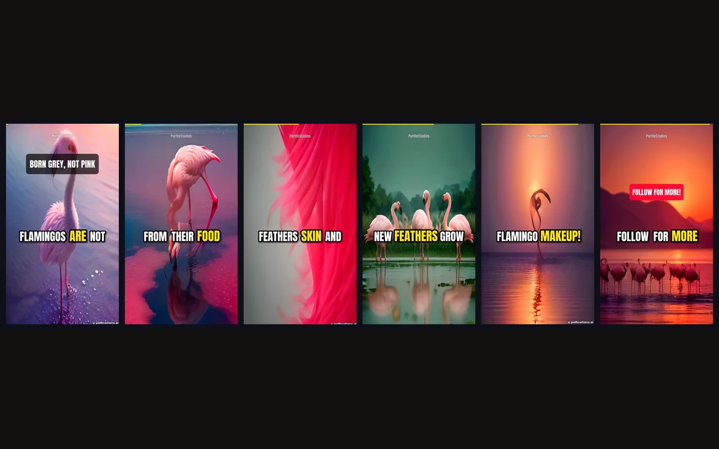Six frames from a PurffleShorts render: hook title, word-highlighted captions, AI images, progress bar and call to action